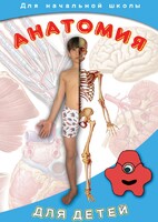 DVD "Анатомия для детей" - fgospostavki.ru - Калуга