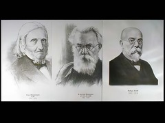Портреты биологов (26 штук, формат А3) - fgospostavki.ru - Калуга