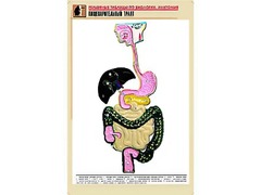 Рельефная таблица "Пищеварительный тракт" (формат А1, матовое ламинирование) - fgospostavki.ru - Калуга