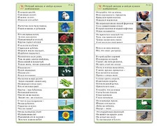 Комплект карточек (10) "Обучающий калейдоскоп. Природа" - fgospostavki.ru - Калуга