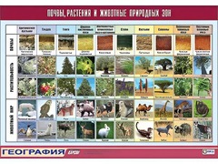 Таблица демонстрационная "Почвы, растения и животные природных зон" (винил 100*140) - fgospostavki.ru - Калуга