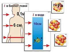 Модель-аппликация "Явление радиоактивности" (ламинированная) - fgospostavki.ru - Калуга