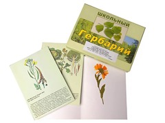 Гербарий "Систематика растений. Семейство Пасленовые. Крестоцветные. Сложноцветные" (раздаточный) - fgospostavki.ru - Калуга