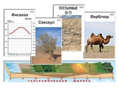 Модель-аппликация "Природные зоны" - fgospostavki.ru - Калуга