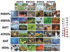 Фенологические наблюдения - fgospostavki.ru - Калуга