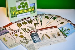 Гербарий к курсу основ общей биологии - fgospostavki.ru - Калуга