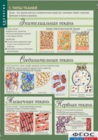 Комплект таблиц. Биология 8-9 класс. Человек. - fgospostavki.ru - Калуга