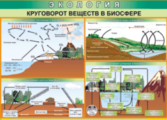 Таблица "Круговорот веществ в биосфере" (100х140 сантиметров, винил) - fgospostavki.ru - Калуга