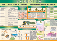 Таблица "Биотические взаимоотношения организмов" (100х140 сантиметров, винил) - fgospostavki.ru - Калуга
