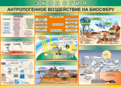 Таблица "Антропогенное воздействие на биосферу" (100х140 сантиметров, винил) - fgospostavki.ru - Калуга