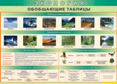 Таблица "Экология. Обобщающие таблицы" (100х140 сантиметров, винил) - fgospostavki.ru - Калуга