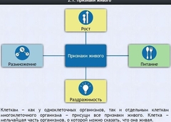 Интерактивные курсы. Биология 5 класс. Базовый - fgospostavki.ru - Калуга