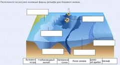 Интерактивные курсы. География 7 класс . Базовый. - fgospostavki.ru - Калуга