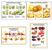 Плакаты ПРОФТЕХ "Ассортимент овощных культур" (12 пл, винил, 70х100) - fgospostavki.ru - Калуга