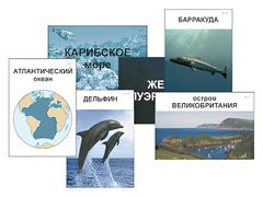 Модель-аппликация "Океаны. Знакомство" (ламинированная) - fgospostavki.ru - Калуга