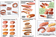Плакаты ПРОФТЕХ "Ассортимент колбасной и мясной продукции" (11 пл, винил, 70х100) - fgospostavki.ru - Калуга