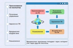 Интерактивные курсы. Информатика 10 класс . Базовый. - fgospostavki.ru - Калуга