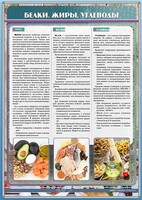 Стенд "Белки. Жиры. Углеводы" - fgospostavki.ru - Калуга