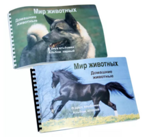 Пособие для слабовидящих - Домашние животные - fgospostavki.ru - Калуга