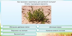 Интерактивные курсы. Окружающий мир 3 класс . Базовый. - fgospostavki.ru - Калуга