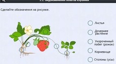 Интерактивные курсы. Биология 7 класс. Расширенный. - fgospostavki.ru - Калуга