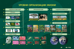 Электрифицированный стенд "Уровни организации жизни" - fgospostavki.ru - Калуга