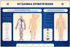 Электрифицированный стенд-тренажер "Остановка кровотечения" - fgospostavki.ru - Калуга