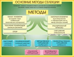 Стенд "Методы селекции и биотехнологии" - fgospostavki.ru - Калуга