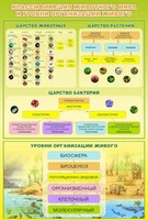 Стенд "Классификация животного мира" - fgospostavki.ru - Калуга