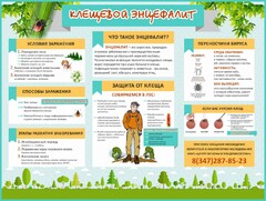 Стенд "Клещевой энцефалит" - fgospostavki.ru - Калуга