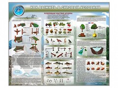 Стенд "Как выжить в суровых условиях" - fgospostavki.ru - Калуга