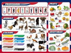 Стенд "Цвета, животные, профессии, фрукты, овощи" - fgospostavki.ru - Калуга