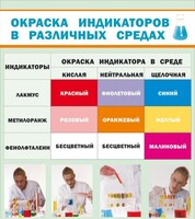 Стенд "Окраска индикаторов в различных средах" - fgospostavki.ru - Калуга