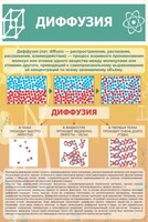Стенд "Диффузия" - fgospostavki.ru - Калуга