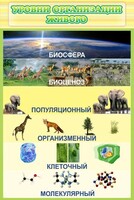 Стенд "Уровни организации живого" - fgospostavki.ru - Калуга
