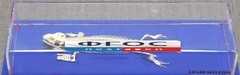 Скелет ящерицы - fgospostavki.ru - Калуга