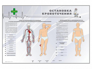 Электрифицированный стенд "Остановка кровотечения" - fgospostavki.ru - Калуга
