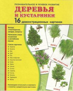 Демонстрационные карточки "Деревья и кустарники" - fgospostavki.ru - Калуга