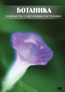 DVD "Ботаника. Знакомство с цветковыми растениями" - fgospostavki.ru - Калуга