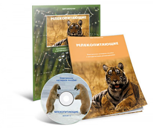 Электронное наглядное пособие «Млекопитающие» - fgospostavki.ru - Калуга