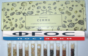Коллекция "Семена к гербарию для начальной школы" (11 видов) - fgospostavki.ru - Калуга