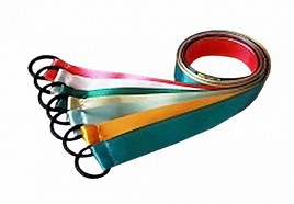 Лента гимнастическая на кольце (0,5 метра) - fgospostavki.ru - Калуга