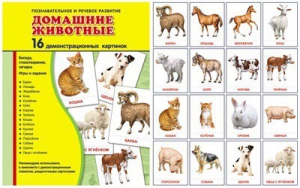 Демонстрационные карточки "Домашние животные" - fgospostavki.ru - Калуга