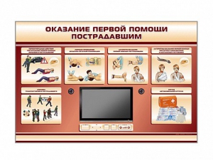 Многофункциональный интерактивный стенд-тренажер "Оказание первой помощи пострадавшим" для учащихся общеобразовательных учреждений - fgospostavki.ru - Калуга