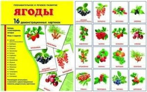 Демонстрационные карточки "Ягоды" - fgospostavki.ru - Калуга