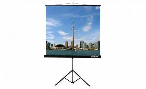 Проекционный экран на штативе Lumien Eco View (LEV-100105) 160x160 см - fgospostavki.ru - Калуга