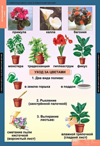Комплект таблиц. Окружающий мир 1 класс. - fgospostavki.ru - Калуга