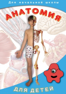 DVD "Анатомия для детей" - fgospostavki.ru - Калуга