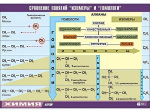 Таблица демонстрационная "Сравнение понятий изомер и гомолог" (винил 70x100) - fgospostavki.ru - Калуга