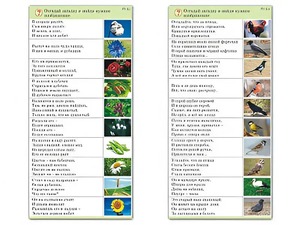 Комплект карточек (10) "Обучающий калейдоскоп. Природа" - fgospostavki.ru - Калуга
